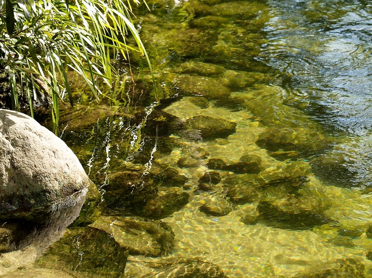 Gin clear water at Silky Oaks Lodge