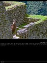 Llama at Machu Piccu