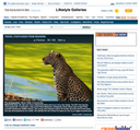 Royal Malewane Leopard_1