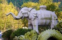 Temple elephant outside