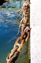 Waterfront rust