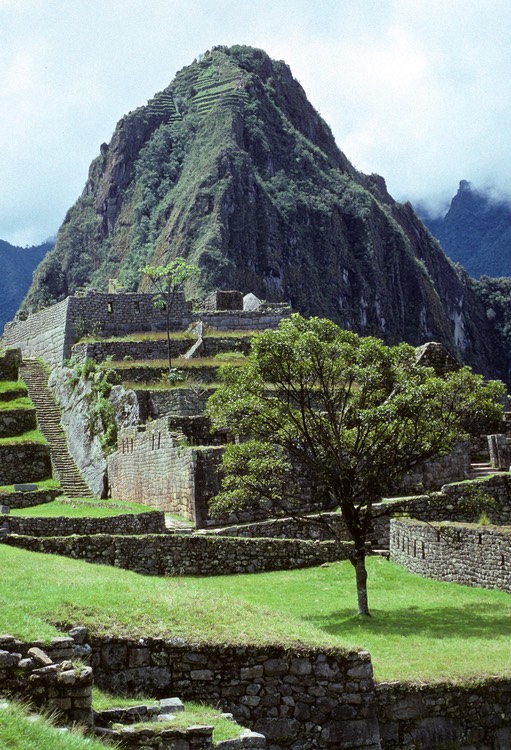 Wayna Picchu 1991